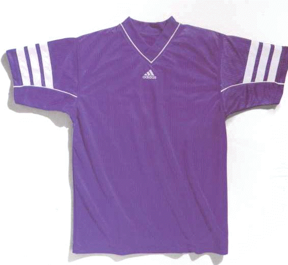 new jersey.jpg (25265 bytes)