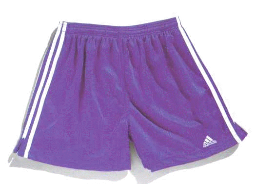 new short.jpg (23750 bytes)